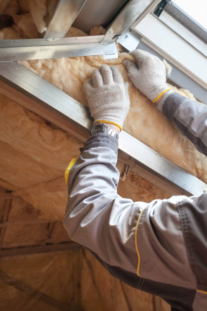 Best Insulation Installation Services in Roseville, MN