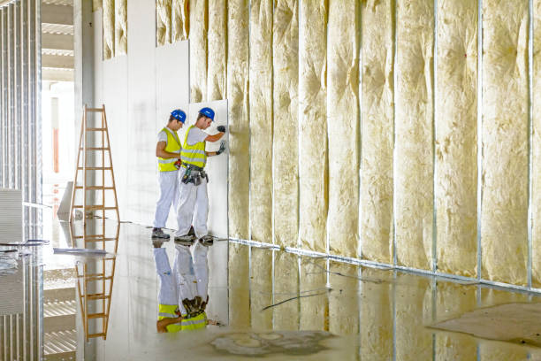 Best Insulation Materials and Products in Roseville, MN